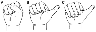 Illustration for article titled Did fist fighting change the course of human evolution?